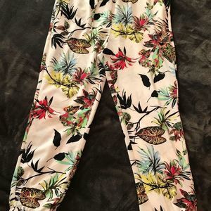 Great, transitional jogger